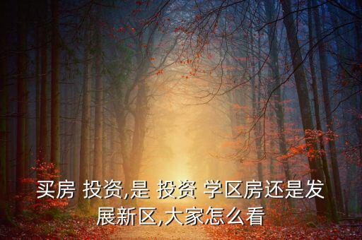 買房 投資,是 投資 學區房還是發展新區,大家怎么看
