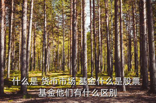 什么是 貨幣市場 基金什么是股票 基金他們有什么區別