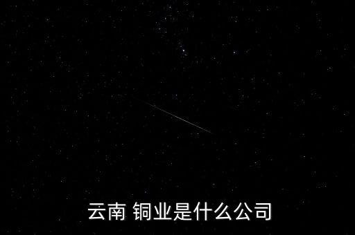  云南 銅業是什么公司