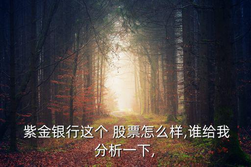 紫金股票怎么樣,紫金礦業集團股份有限公司股票交易提示