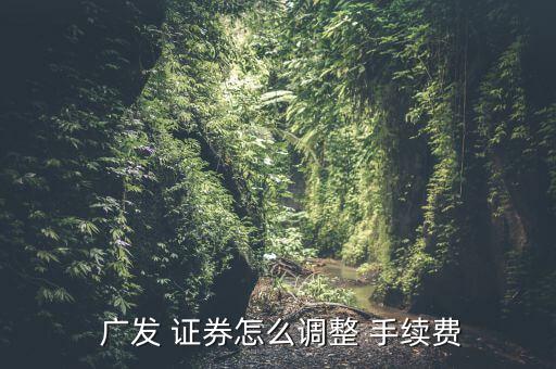 廣發證券手續費怎么查,廣發證券2015手續費如何收取?