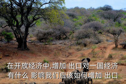 在開放經濟中,增加 出口對一國經濟有什么 影響我們應該如何增加 出口