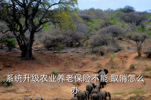 系統升級農業養老保險不能 取消怎么辦