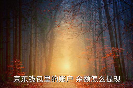 京東網銀錢包余額怎么使用,如何下載京東錢包?