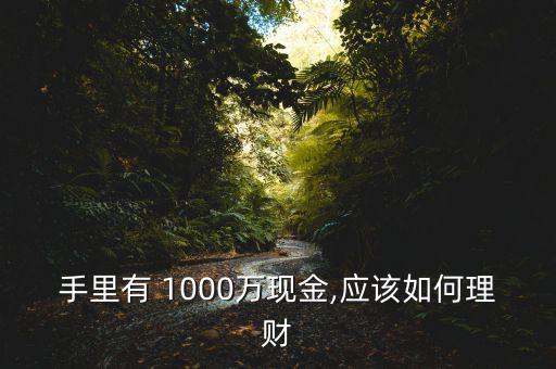 手里有 1000萬現金,應該如何理財
