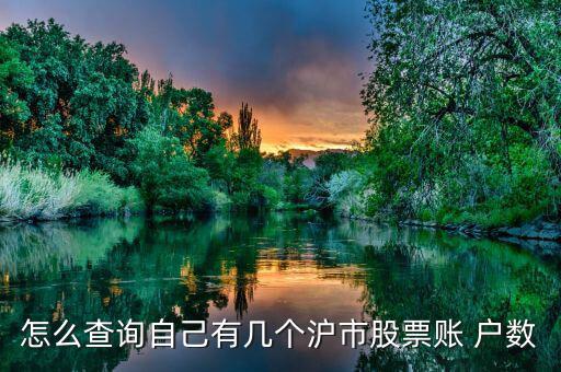 怎么查股東戶數,股東可通過f10查看當前季度股改季報