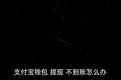 支付寶錢包 提現 不到賬怎么辦
