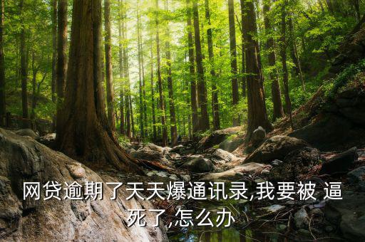 網貸逾期了天天爆通訊錄,我要被 逼死了,怎么辦