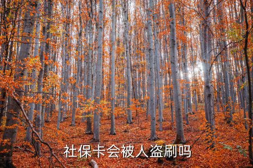 社保卡被盜刷怎么辦,社保補卡服務丟了怎么辦