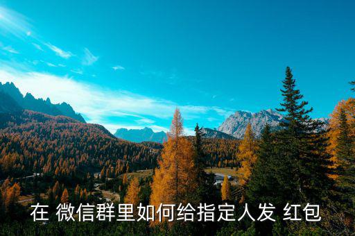 微信群定向紅包怎么發,微信可以發送友人紅包或進入微信錢包
