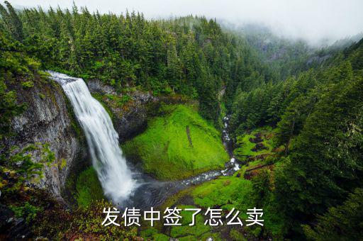 中了洛鉬發債以后怎么辦,航新發債:中彩票后可選擇不支付新債