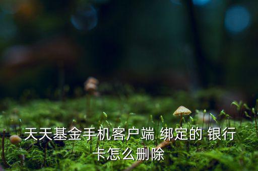 天天盈怎么修改綁定銀行卡,理財新規則