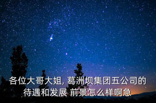 葛洲壩房地產前景怎么樣,葛洲壩集團公司是國企里的垃圾!