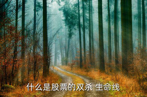 雙生命線怎么看,從業績和市場估值雙重下滑!