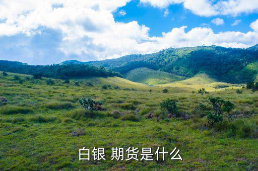白銀期貨交易怎么樣,國內期貨白銀交易單位15公斤/手