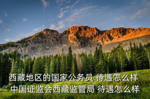 中國證監會待遇怎么樣,銀監會薪酬管理規定參照公務員制定