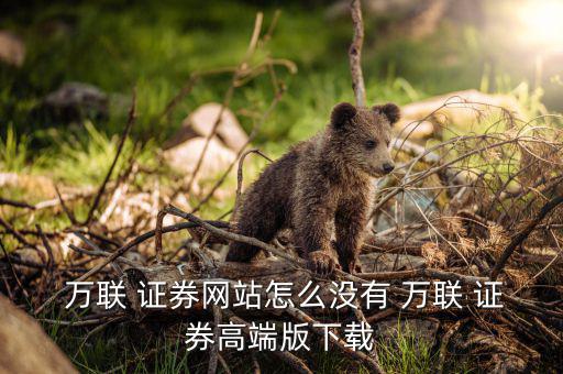 萬聯證券怎么進不了啊,撿垃圾的乞丐!萬聯證券高端版下載地址