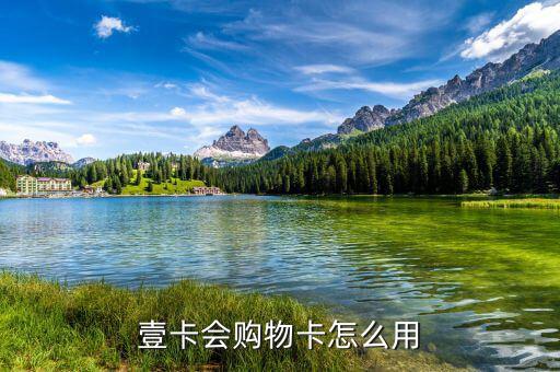 壹錢包卡怎么使用,中國平安在one錢包上開發借錢寶功能