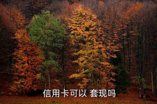  信用卡可以 套現嗎