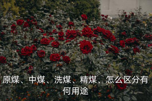 原煤、中煤、洗煤、精煤、怎么區分有何用途