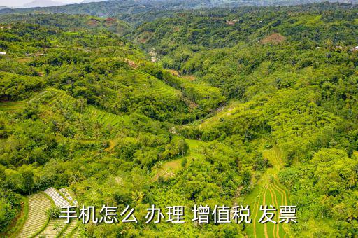 怎么辦理增值稅發票,從手機上打開增值稅e發票