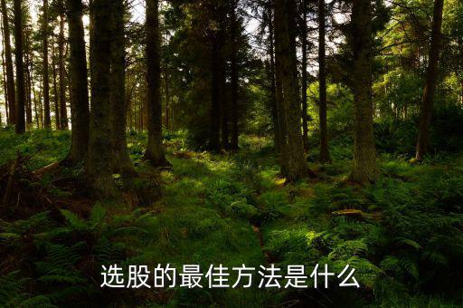 選股票怎么選,如何在股市中選出優質股票