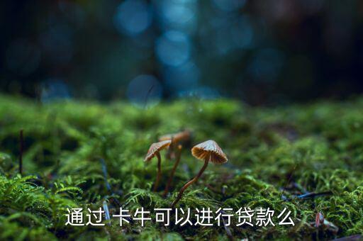 通過 卡?？梢赃M行貸款么