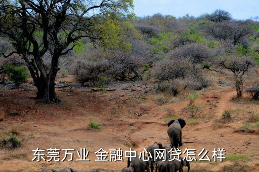 地標金融怎么樣,最新榜單:東莞夜晚金融中環網貸可靠值得信賴