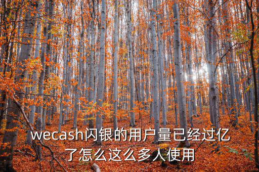  wecash閃銀的用戶量已經過億了怎么這么多人使用