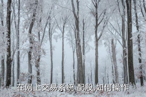 在網上交易系統 配股,如何操作