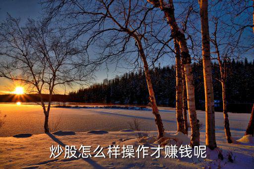 怎么才能炒股穩贏,股市沒有穩定盈利