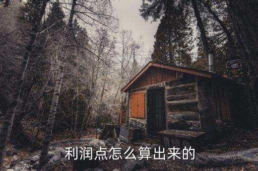 聯營扣點供貨商怎么算利潤,利潤分為兩種類型