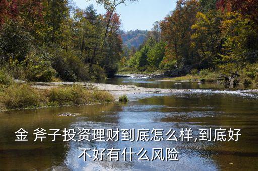 金 斧子投資理財到底怎么樣,到底好不好有什么風險