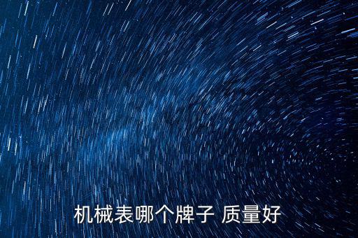 機械表哪個牌子 質量好