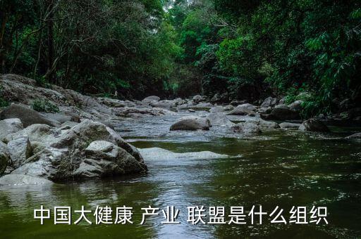 中國大健康 產業 聯盟是什么組織