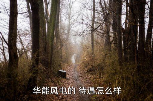 華能新能源待遇怎么樣,選擇大專畢業生:不會成為明星企業