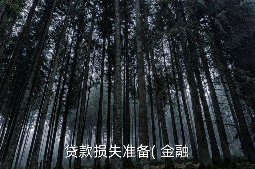 貸款損失準備( 金融
