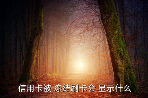信用卡凍結怎么顯示,信用卡被凍結可以聯系發卡行查詢狀態