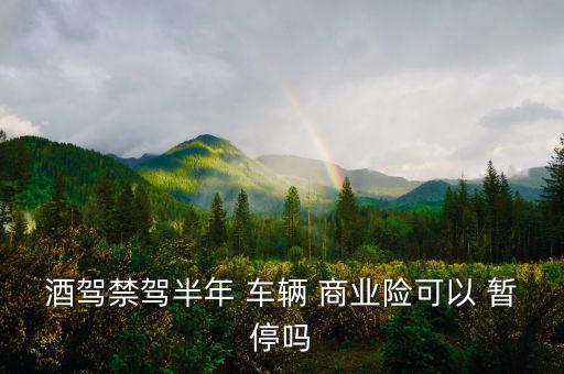 車輛商業保險怎么暫停,商業保險可退保嗎?