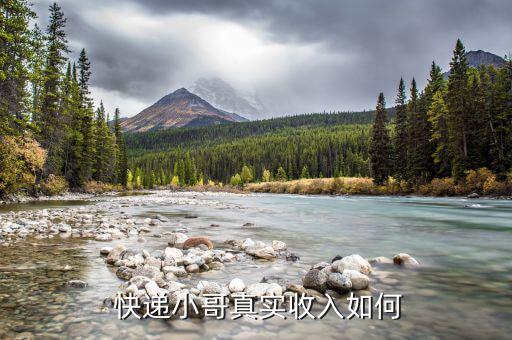 順風的快遞哥怎么賺外快,快遞員工的收入差異由城市和地區決定