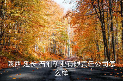 陜西 延長 石油礦業有限責任公司怎么樣