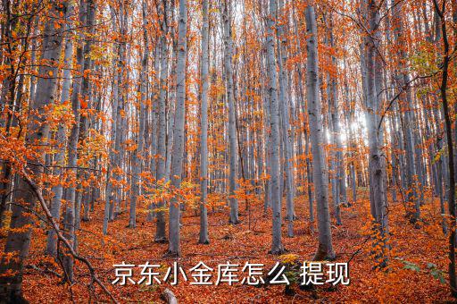  京東小金庫怎么 提現
