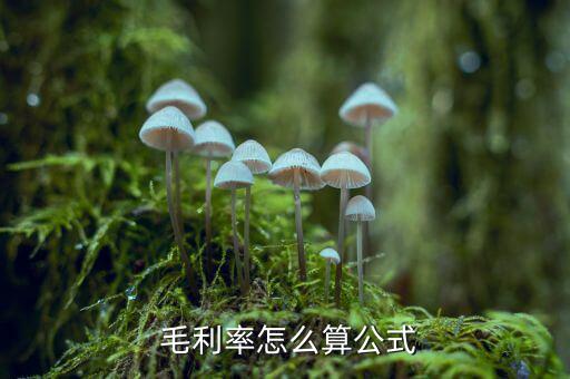 銀行的毛利率怎么算,毛利率是毛利占銷售收入或營業收入百分比