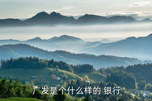  廣發是個什么樣的 銀行
