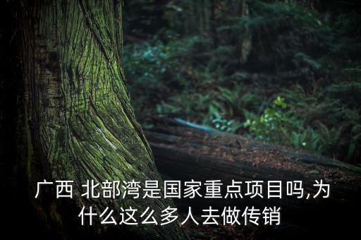 廣西北部灣怎么樣,北部灣經濟區中心城市欽州發展速度驚人