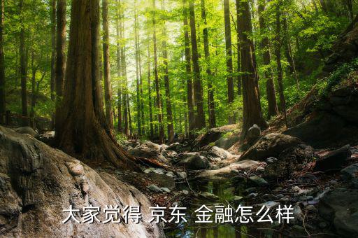 京東金融工作怎么樣,理財規劃要謹慎!京東金融可靠嗎?