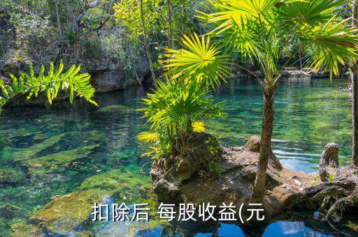 每股稅后利潤怎么算,第二集:每股收入與每股盈利的關系