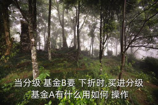 當分級 基金B要 下折時,買進分級 基金A有什么用如何 操作