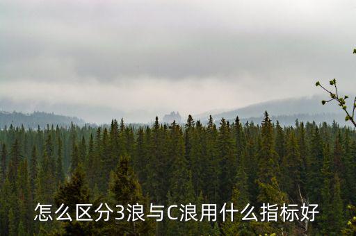 怎么區分3浪與C浪用什么指標好