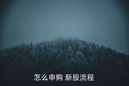 怎么搖新股,訂閱新股一定要記得申請法律依據:公司發布新股